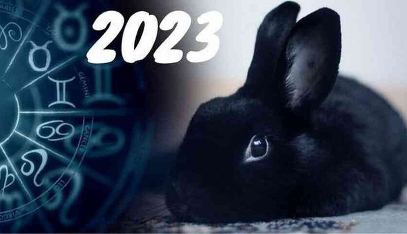 привітання з новим роком 2023 кролика